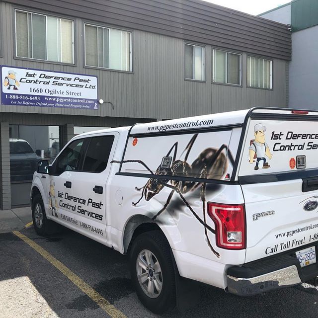 Prince George Pest Control